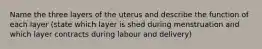 Name the three layers of the uterus and describe the function of each layer (state which layer is shed during menstruation and which layer contracts during labour and delivery)