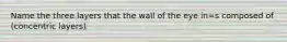 Name the three layers that the wall of the eye in=s composed of (concentric layers)