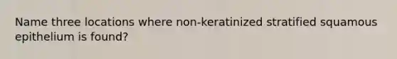 Name three locations where non-keratinized stratified squamous epithelium is found?