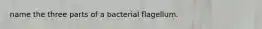 name the three parts of a bacterial flagellum.