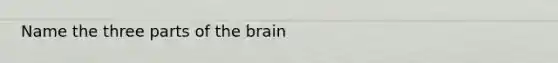 Name the three parts of the brain