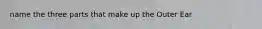 name the three parts that make up the Outer Ear