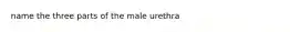 name the three parts of the male urethra