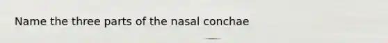 Name the three parts of the nasal conchae