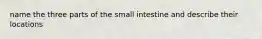 name the three parts of the small intestine and describe their locations