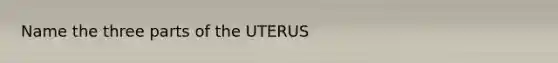 Name the three parts of the UTERUS