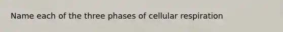 Name each of the three phases of cellular respiration