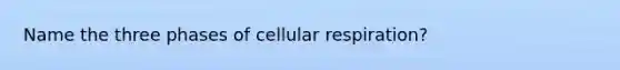 Name the three phases of cellular respiration?