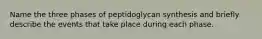 Name the three phases of peptidoglycan synthesis and briefly describe the events that take place during each phase.