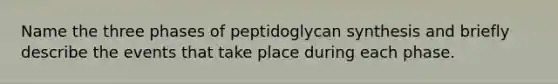 Name the three phases of peptidoglycan synthesis and briefly describe the events that take place during each phase.