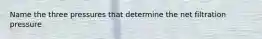 Name the three pressures that determine the net filtration pressure