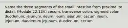 Name the three segments of the small intestine from proximal to distal. (Module 22.13A) cecum, transverse colon, sigmoid colon duodenum, jejunum, ileum ileum, jejunum, cecum ileum, jejunum, duodenum jejunum, duodenum, cecum