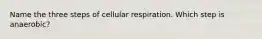 Name the three steps of cellular respiration. Which step is anaerobic?