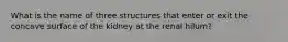 What is the name of three structures that enter or exit the concave surface of the kidney at the renal hilum?
