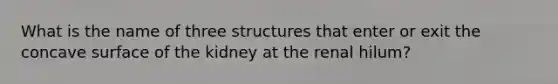 What is the name of three structures that enter or exit the concave surface of the kidney at the renal hilum?