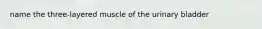 name the three-layered muscle of the urinary bladder