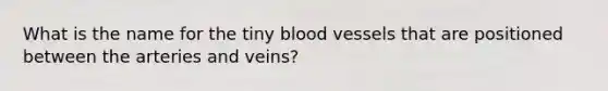 What is the name for the tiny blood vessels that are positioned between the arteries and veins?