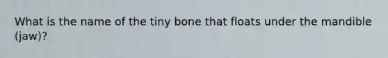 What is the name of the tiny bone that floats under the mandible (jaw)?