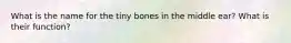 What is the name for the tiny bones in the middle ear? What is their function?