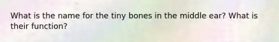 What is the name for the tiny bones in the middle ear? What is their function?