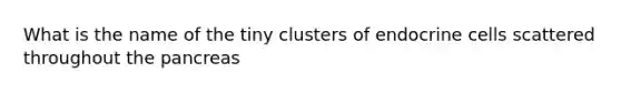 What is the name of the tiny clusters of endocrine cells scattered throughout the pancreas