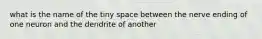 what is the name of the tiny space between the nerve ending of one neuron and the dendrite of another