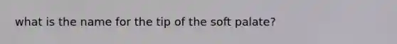 what is the name for the tip of the soft palate?