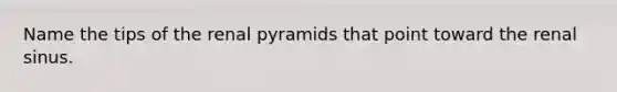 Name the tips of the renal pyramids that point toward the renal sinus.