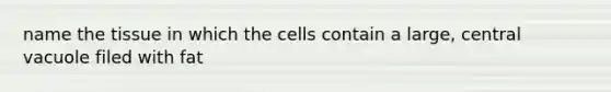 name the tissue in which the cells contain a large, central vacuole filed with fat