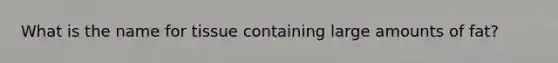 What is the name for tissue containing large amounts of fat?