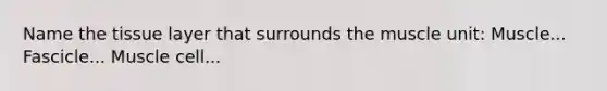 Name the tissue layer that surrounds the muscle unit: Muscle... Fascicle... Muscle cell...