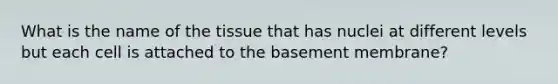 What is the name of the tissue that has nuclei at different levels but each cell is attached to the basement membrane?