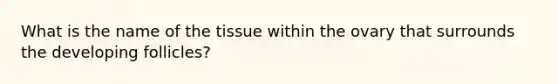 What is the name of the tissue within the ovary that surrounds the developing follicles?