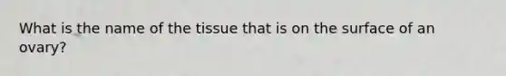 What is the name of the tissue that is on the surface of an ovary?