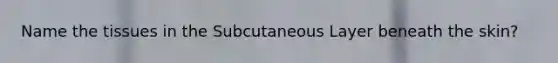 Name the tissues in the Subcutaneous Layer beneath the skin?