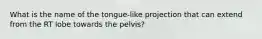 What is the name of the tongue-like projection that can extend from the RT lobe towards the pelvis?