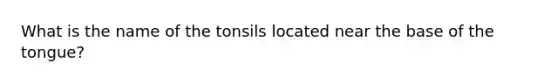 What is the name of the tonsils located near the base of the tongue?