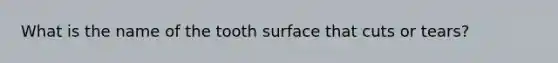 What is the name of the tooth surface that cuts or tears?