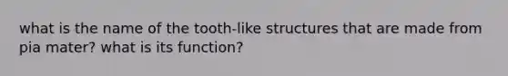 what is the name of the tooth-like structures that are made from pia mater? what is its function?