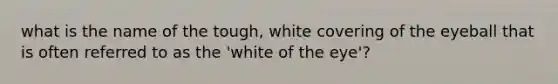 what is the name of the tough, white covering of the eyeball that is often referred to as the 'white of the eye'?