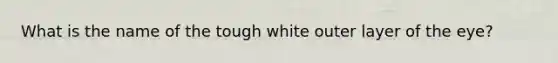 What is the name of the tough white outer layer of the eye?