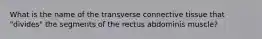 What is the name of the transverse connective tissue that "divides" the segments of the rectus abdominis muscle?