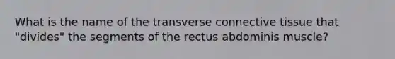 What is the name of the transverse connective tissue that "divides" the segments of the rectus abdominis muscle?