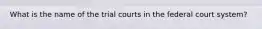 What is the name of the trial courts in the federal court system?