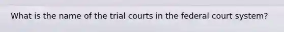 What is the name of the trial courts in the federal court system?