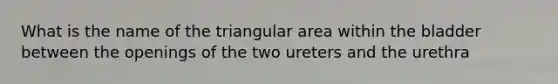 What is the name of the triangular area within the bladder between the openings of the two ureters and the urethra