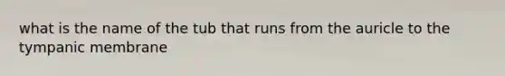 what is the name of the tub that runs from the auricle to the tympanic membrane