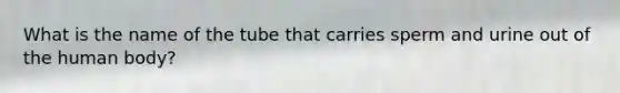 What is the name of the tube that carries sperm and urine out of the human body?