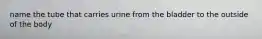 name the tube that carries urine from the bladder to the outside of the body