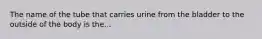 The name of the tube that carries urine from the bladder to the outside of the body is the...